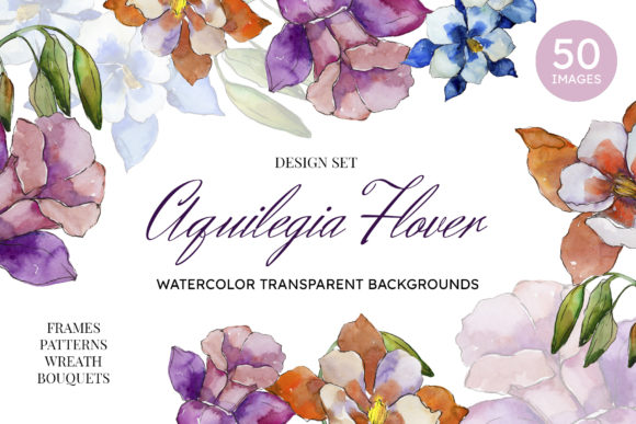 Aquilegia Flowers: Velvet Season Watercolor