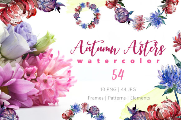 Autumn Asters Watercolor: A Complete Creative Toolkit for Designers and DIY Enthusiasts