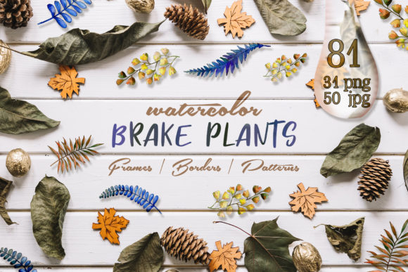 Brake Plants Watercolor Set for Creative Projects