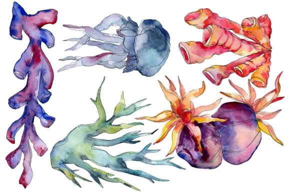 Corals Blue, Red and Green Watercolor: A Versatile Resource for Creative Projects