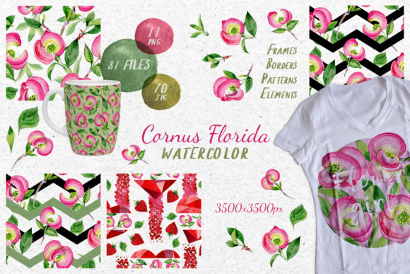 Cornus Florida Flowers Watercolor Set for Creatives