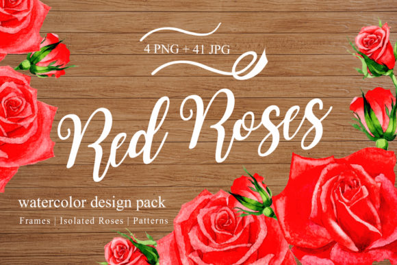 Elevate Your Creative Projects with the Wonderful Red Rose Watercolor Design Pack