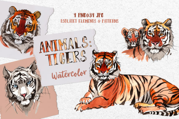 Hand-Painted Tiger Watercolor Art: A 38-File Clipart Collection for Creative Projects