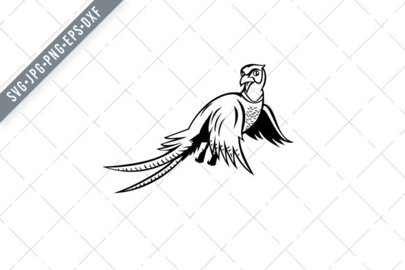 Ring-Necked Pheasant Flying Cartoon: A Versatile Black and White Illustration for Creators and Designers
