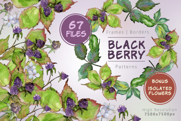 Sweetly Blackberry Watercolor Set