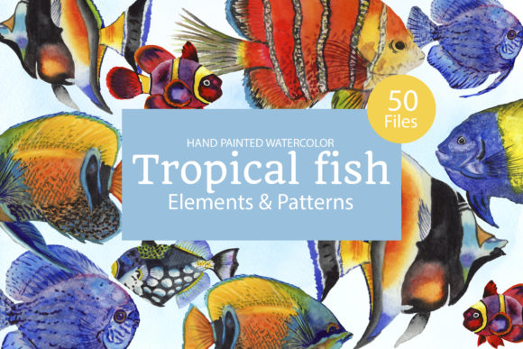 Tropical Fish Watercolor Art for DIY Projects