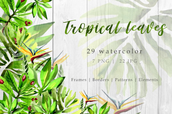 Tropical Leaves Watercolor Set for Modern Design